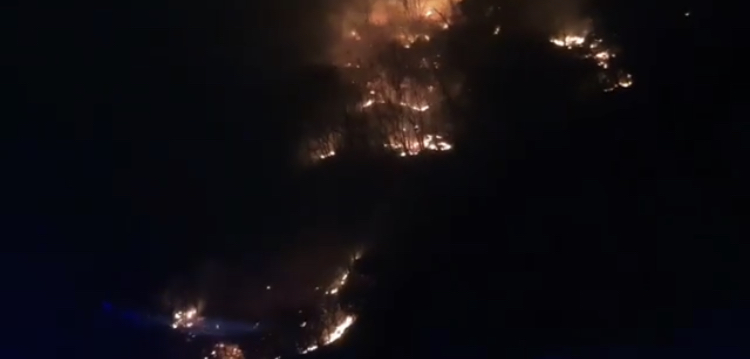 Пожарные уже несколько часов тушат горящий лес у селения Балта